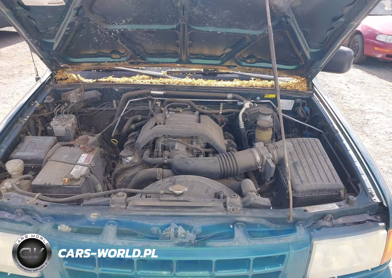 1999 Isuzu Rodeo Ls-Lse-S VIN:4S2CM58W0X4364403 - 10