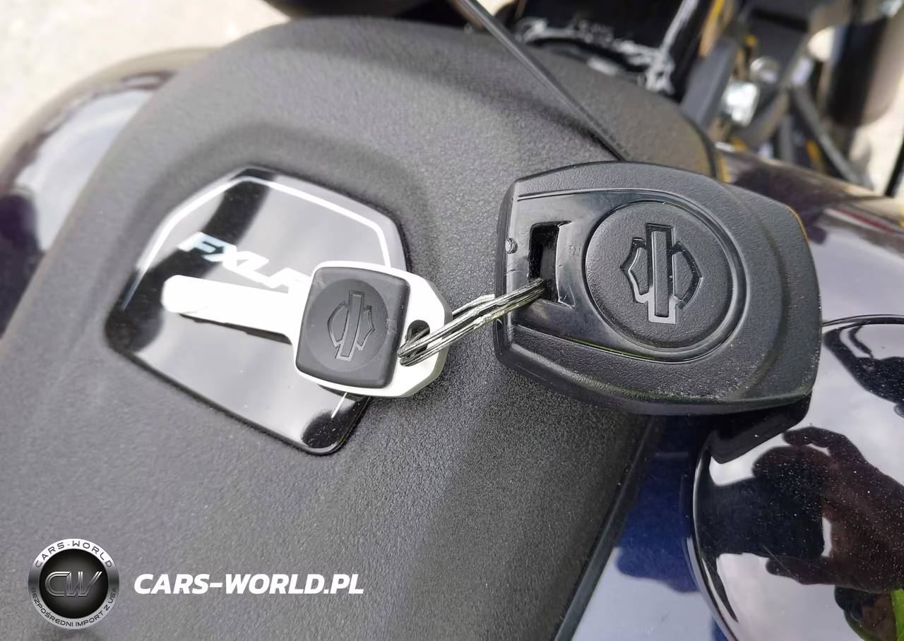 2025 Harley-Davidson Fxlrs VIN:1HD1YWA10SB024778 - 11
