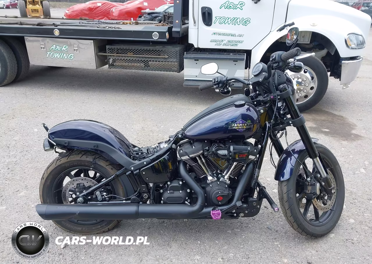 2025 Harley-Davidson Fxlrs VIN:1HD1YWA10SB024778 - 12