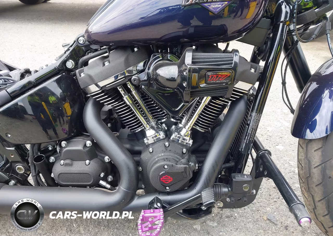 2025 Harley-Davidson Fxlrs VIN:1HD1YWA10SB024778 - 8