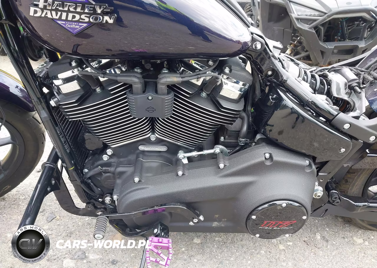 2025 Harley-Davidson Fxlrs VIN:1HD1YWA10SB024778 - 9