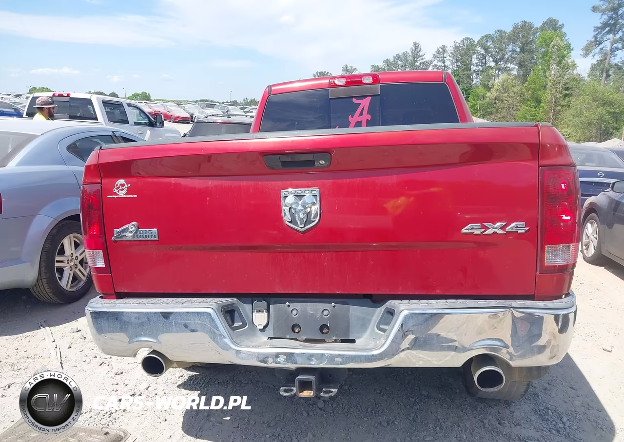 2010 Dodge Ram 1500 Slt-Sport-Trx VIN:1D7RV1GT5AS117793 - 16