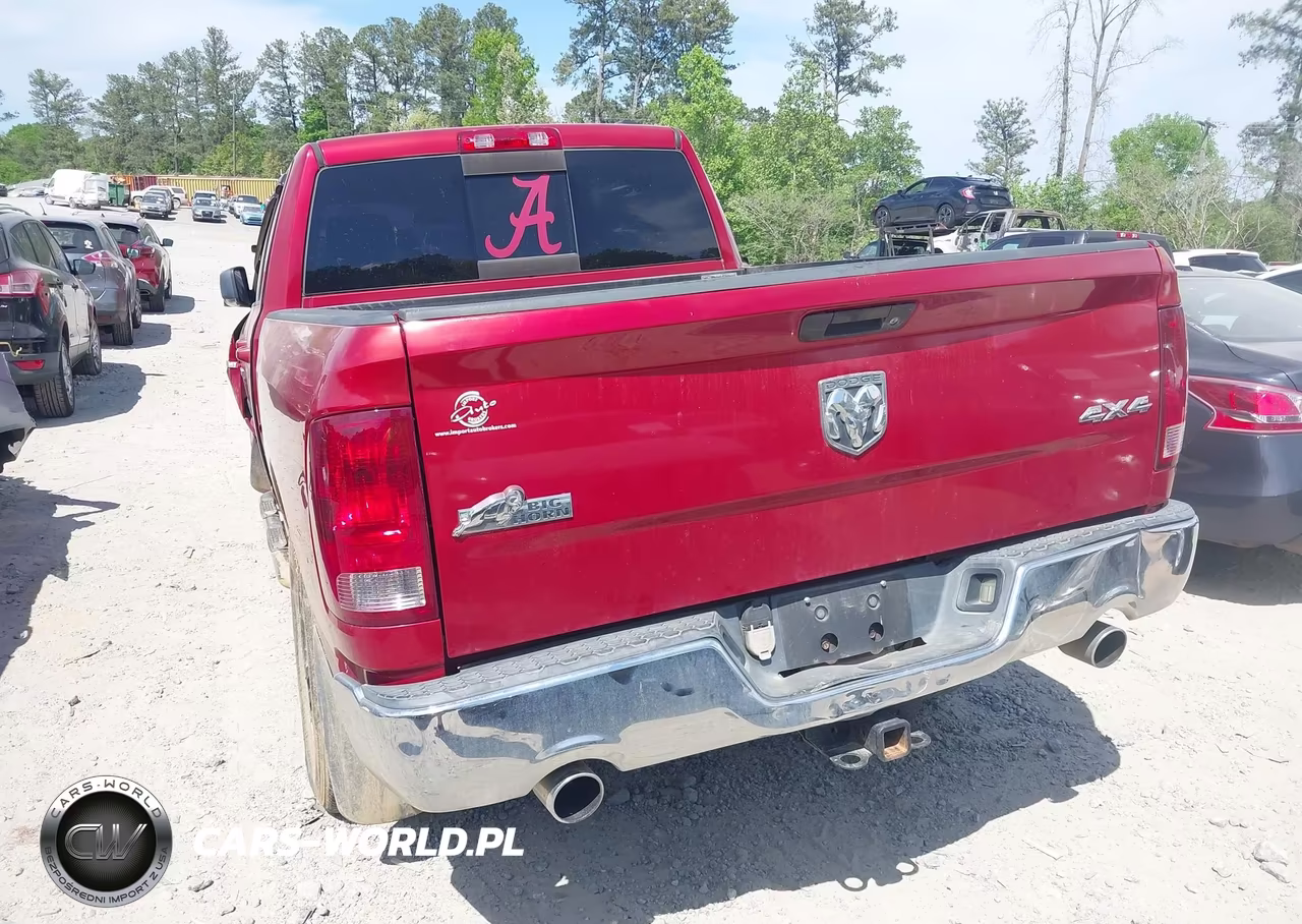 2010 Dodge Ram 1500 Slt-Sport-Trx VIN:1D7RV1GT5AS117793 - 3
