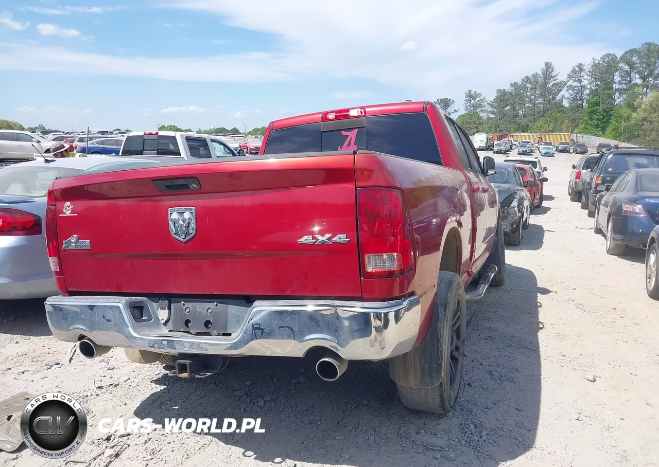 2010 Dodge Ram 1500 Slt-Sport-Trx VIN:1D7RV1GT5AS117793 - 4