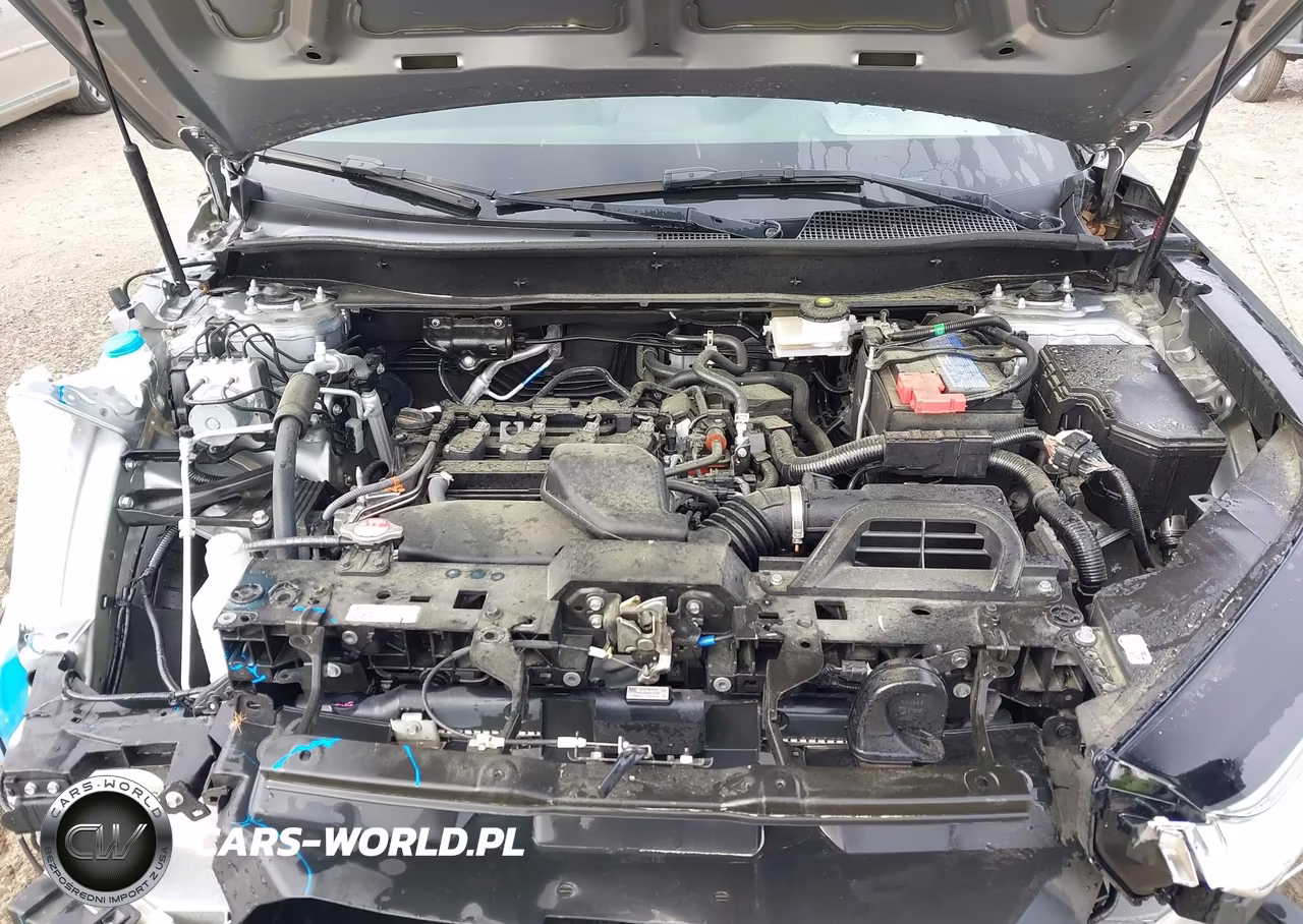 2023 Honda Cr-V Ex 2Wd VIN:7FARS3H4XPE004373 - 10