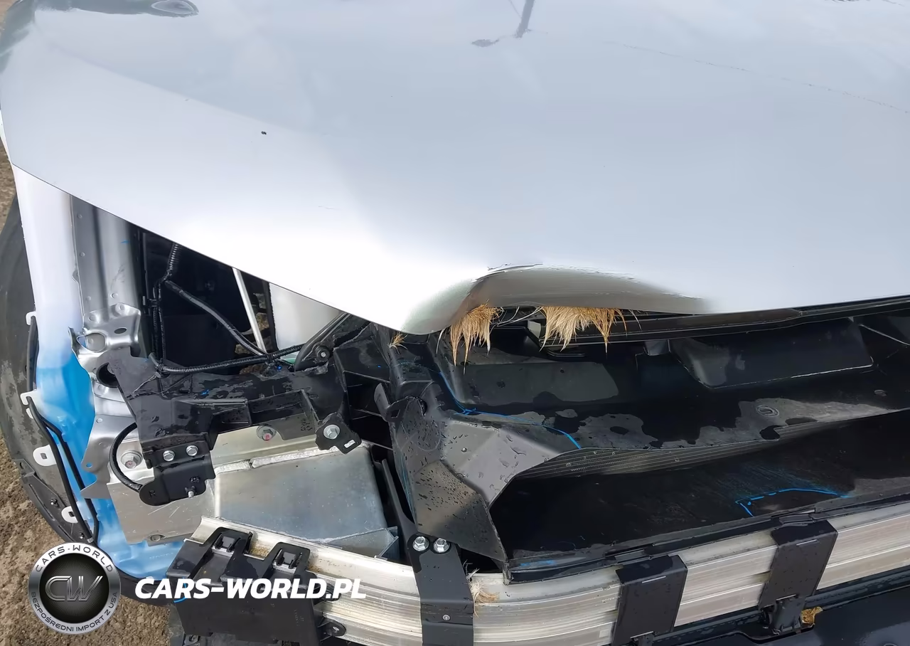 2023 Honda Cr-V Ex 2Wd VIN:7FARS3H4XPE004373 - 19