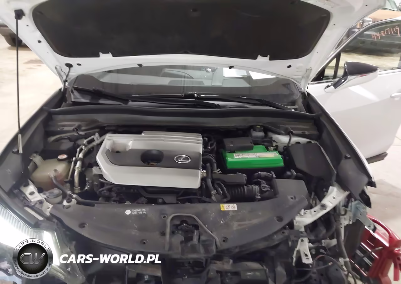 2019 Lexus Ux 200 F Sport VIN:JTHY3JBH2K2002941 - 10