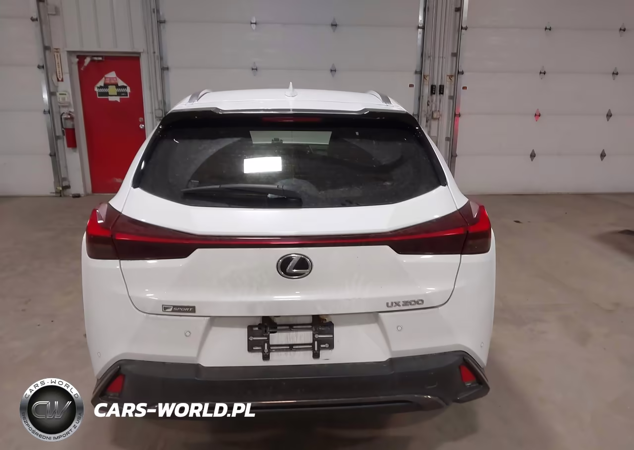 2019 Lexus Ux 200 F Sport VIN:JTHY3JBH2K2002941 - 16