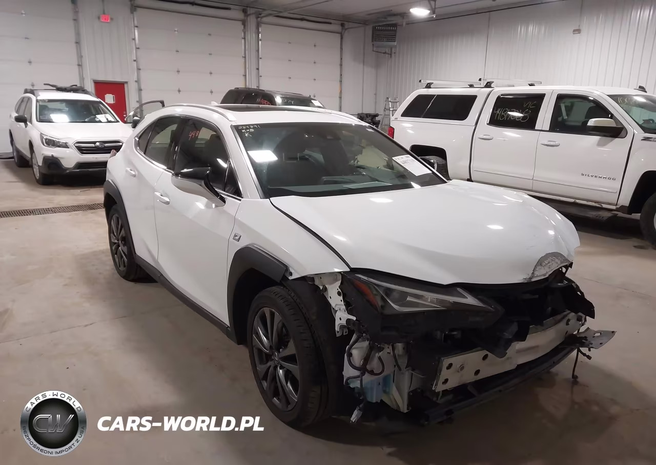2019 Lexus Ux 200 F Sport VIN:JTHY3JBH2K2002941 - 6