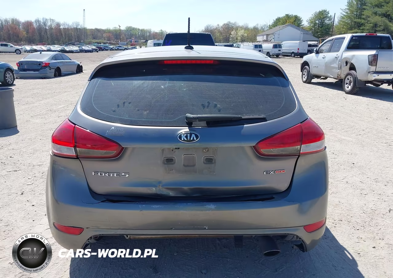 2016 Kia Forte Ex VIN:KNAFX5A81G5529264 - 17
