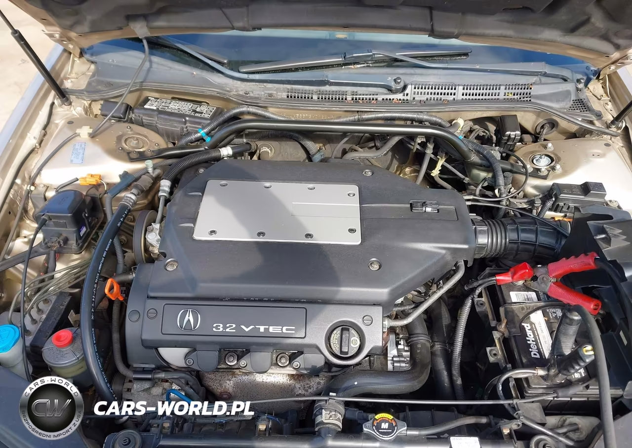 2003 Acura Tl 3.2 VIN:19UUA56673A093848 - 10