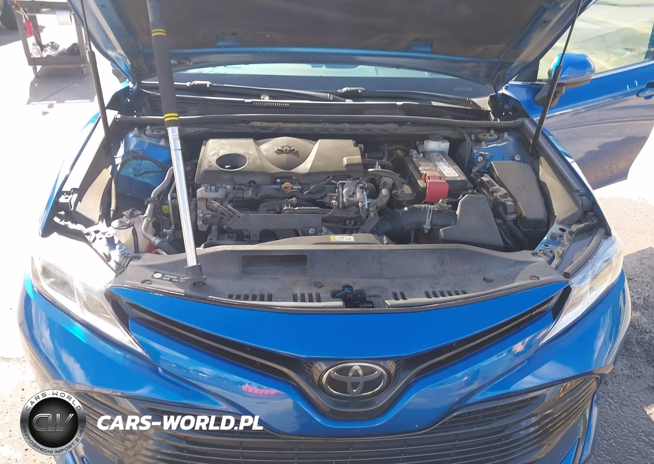 2020 Toyota Camry Le VIN:4T1C11AK9LU338604 - 10