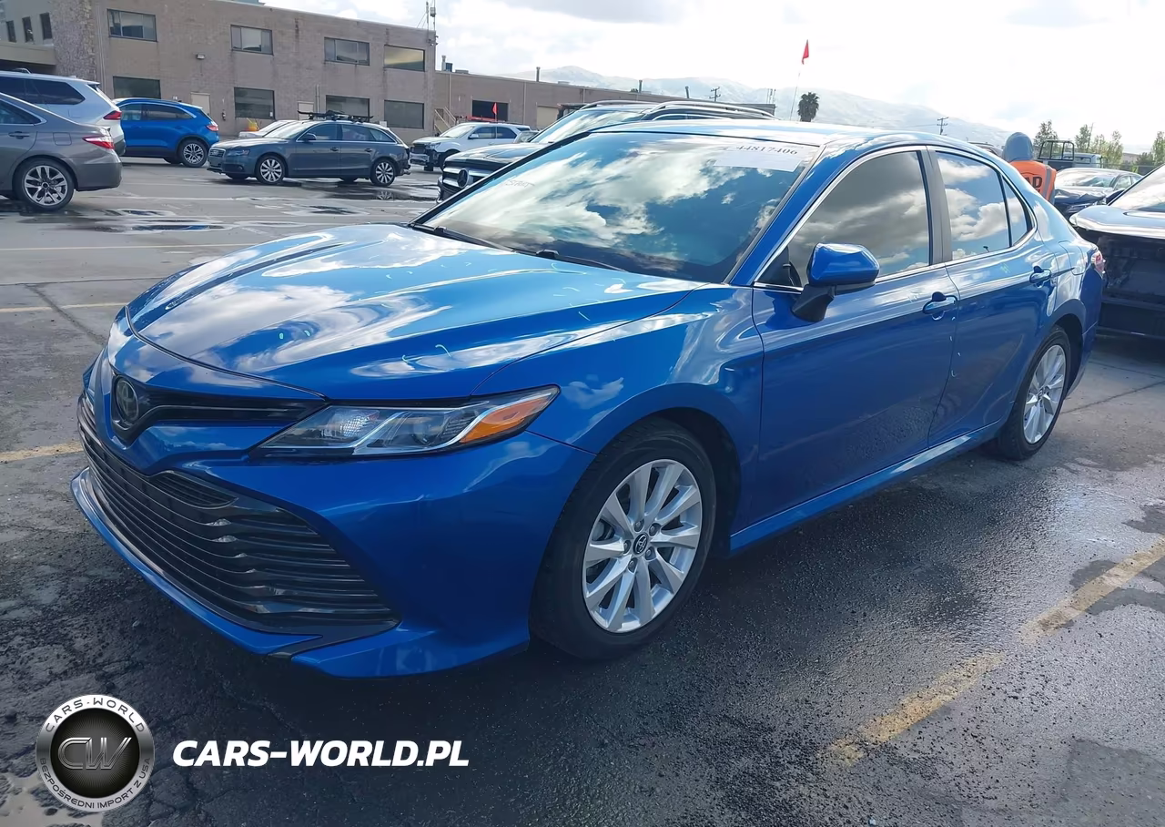 2020 Toyota Camry Le VIN:4T1C11AK9LU338604 - 2