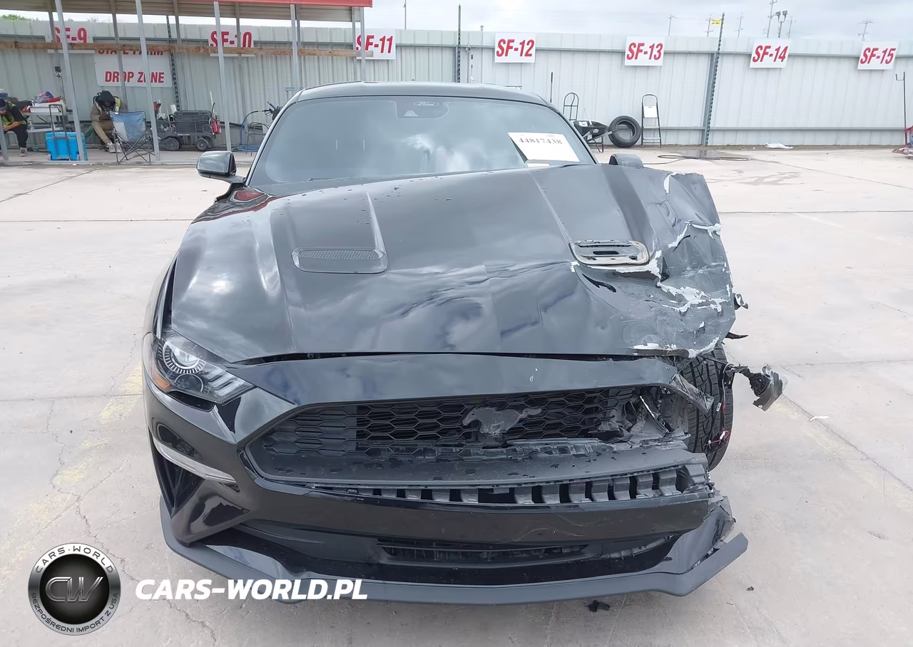 2021 Ford Mustang Ecoboost Fastback VIN:1FA6P8THXM5104340 - 12