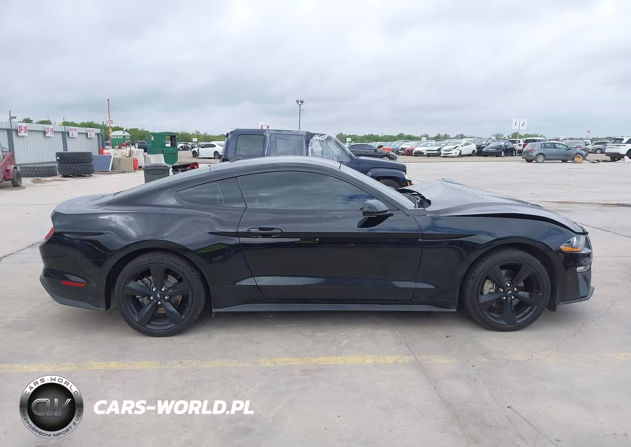 2021 Ford Mustang Ecoboost Fastback VIN:1FA6P8THXM5104340 - 13