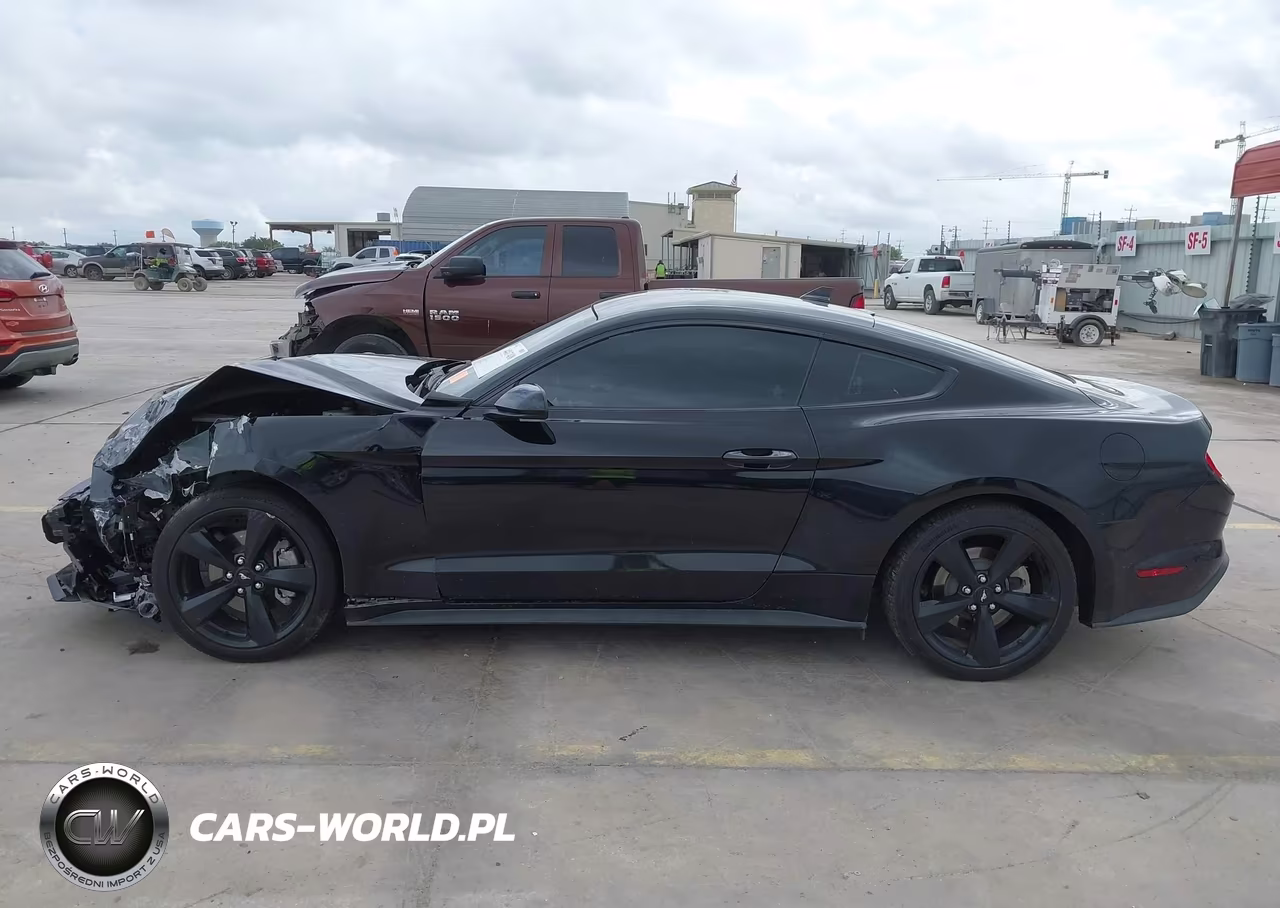 2021 Ford Mustang Ecoboost Fastback VIN:1FA6P8THXM5104340 - 14