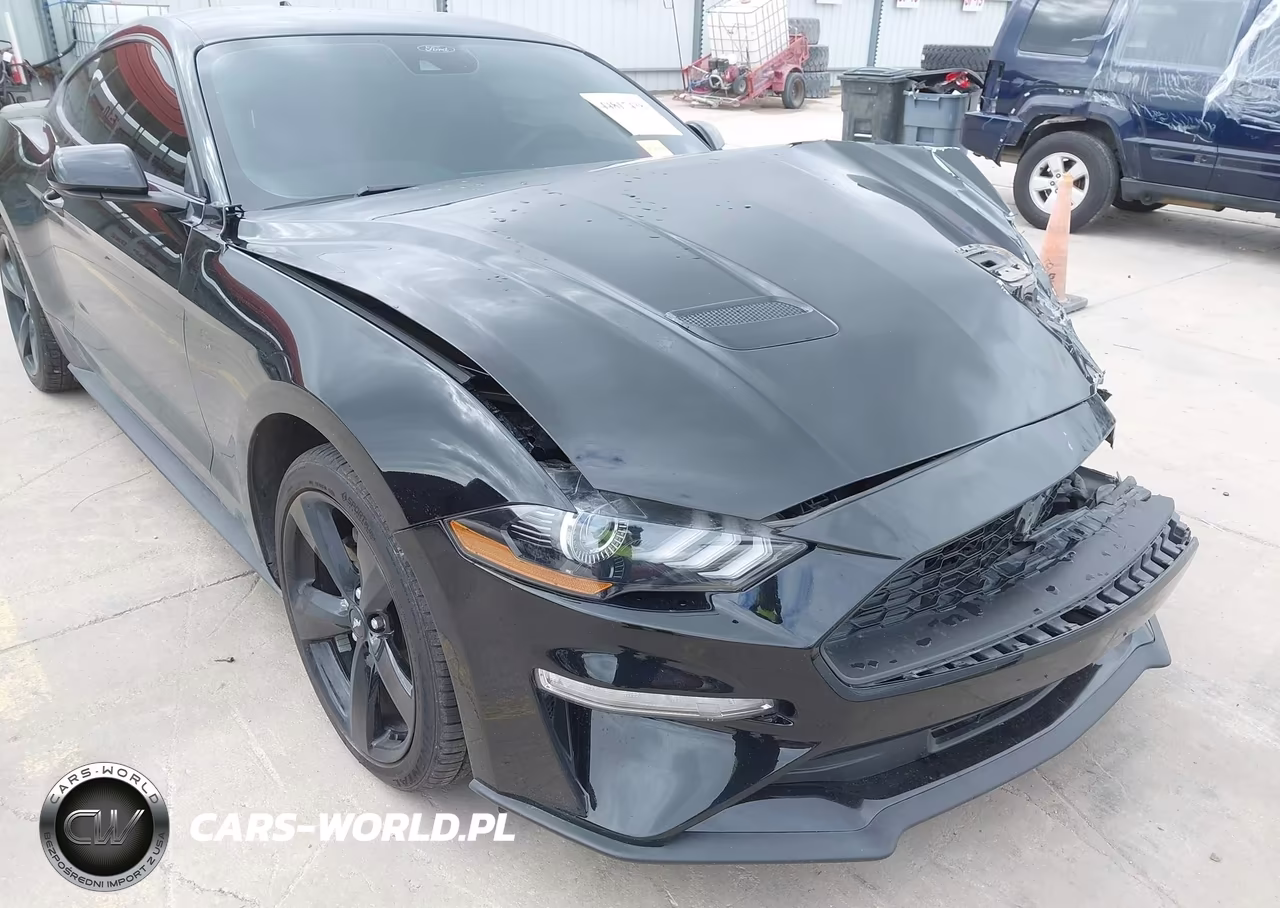 2021 Ford Mustang Ecoboost Fastback VIN:1FA6P8THXM5104340 - 17