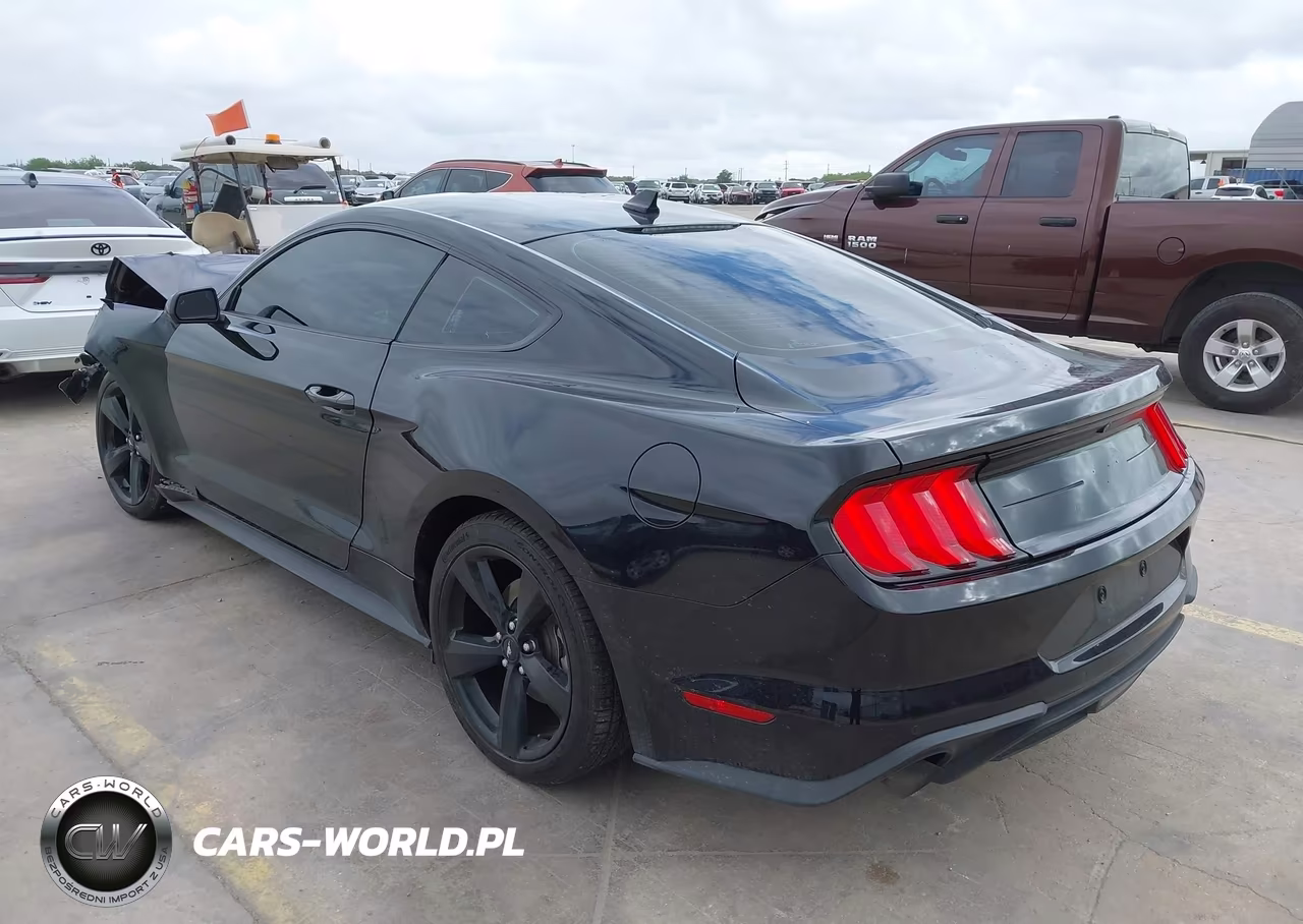 2021 Ford Mustang Ecoboost Fastback VIN:1FA6P8THXM5104340 - 3