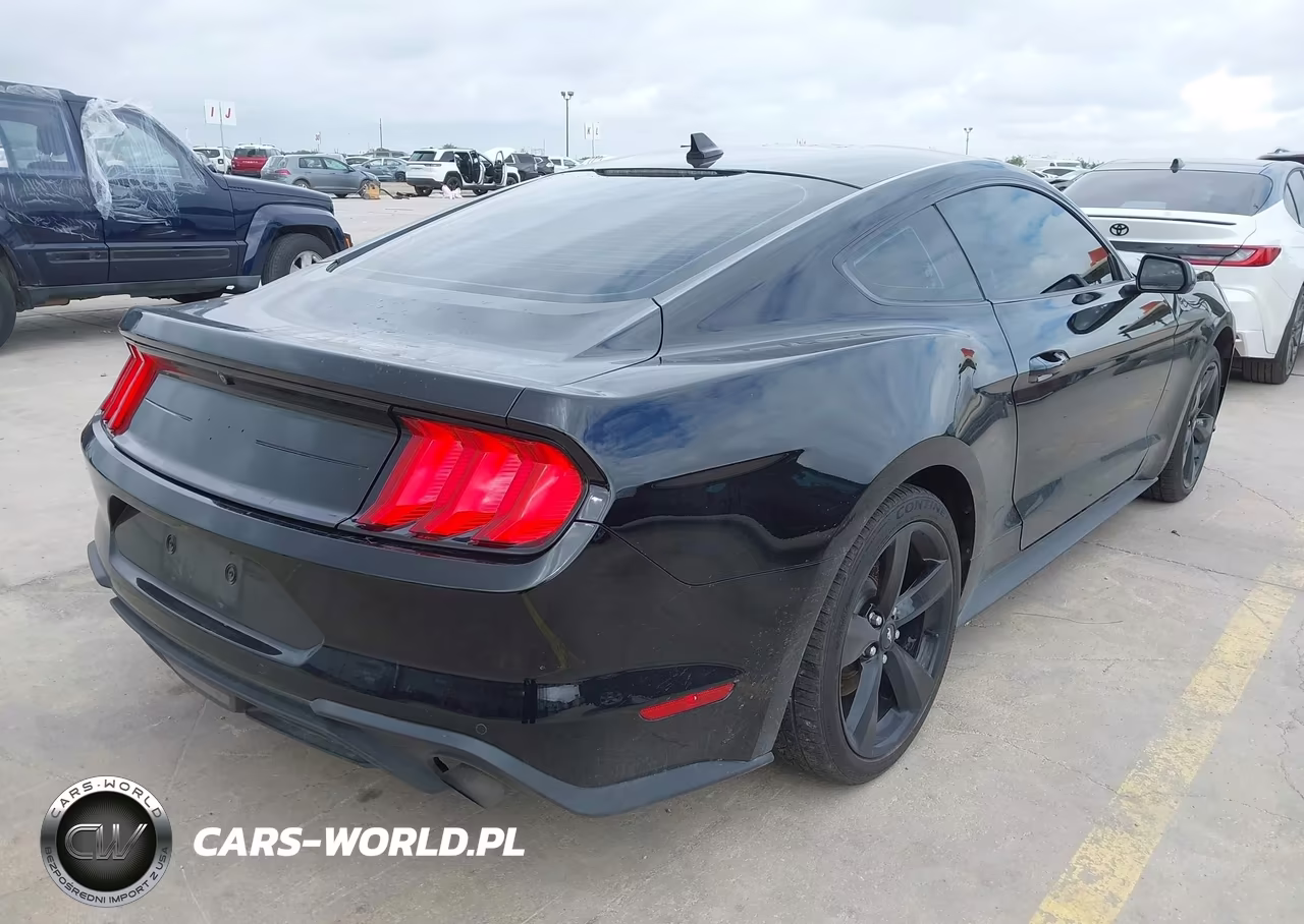 2021 Ford Mustang Ecoboost Fastback VIN:1FA6P8THXM5104340 - 4