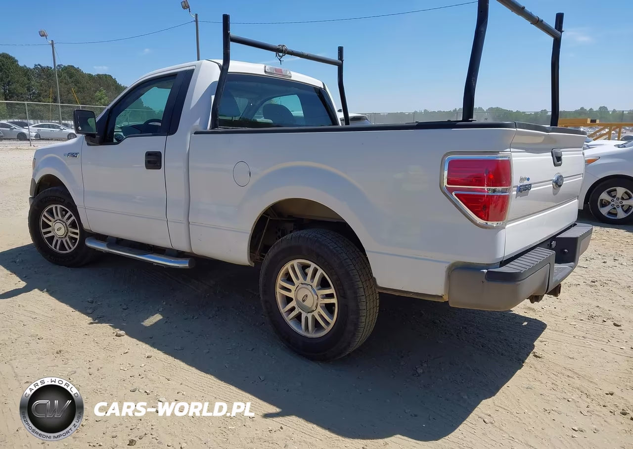 2009 Ford F-150 Stx-Xl-Xlt VIN:1FTRF12WX9KB13985 - 3