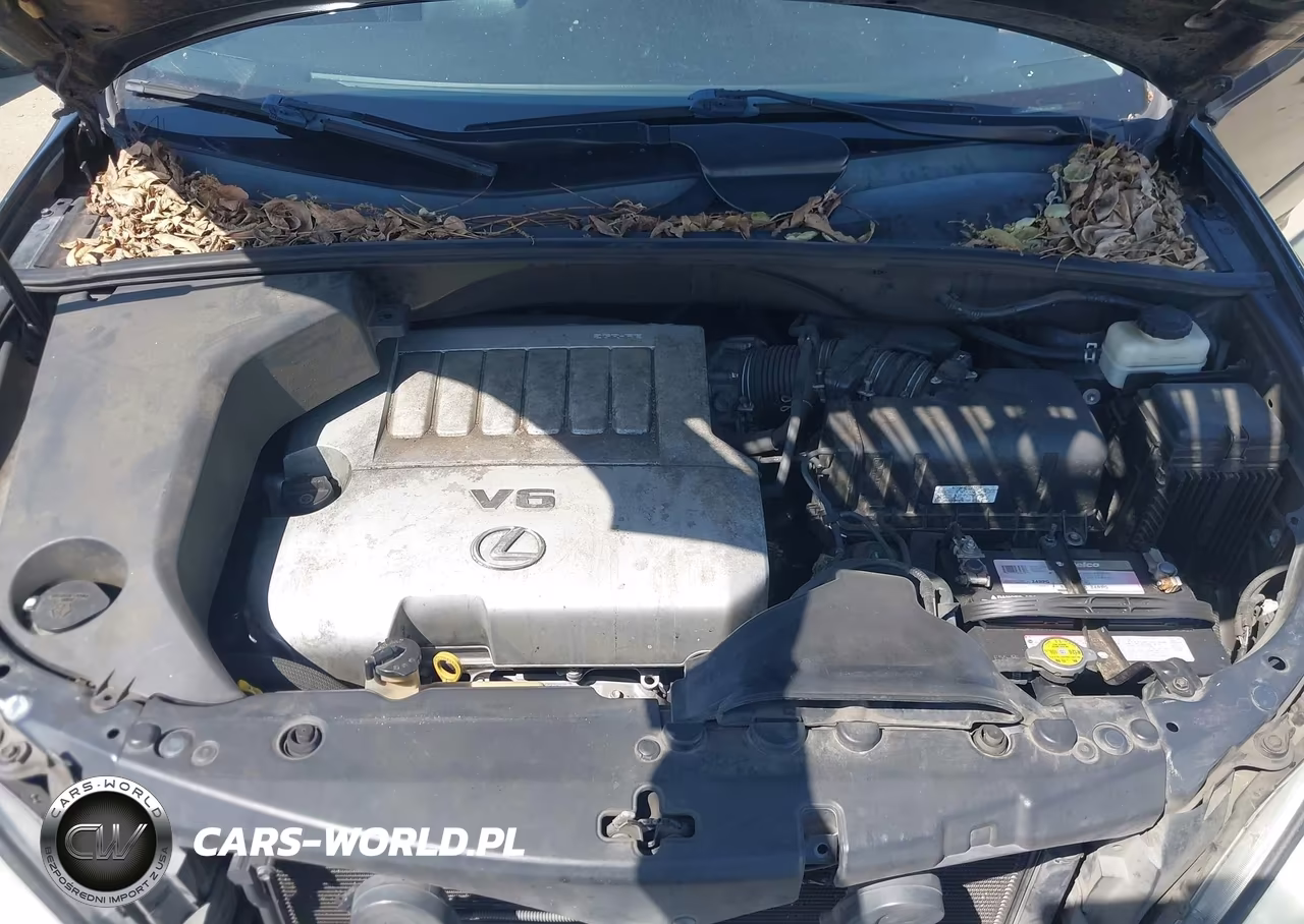 2009 Lexus Rx 350 VIN:2T2GK31U19C078510 - 10