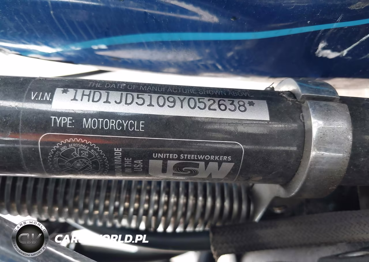 2009 Harley-Davidson Flstn VIN:1HD1JD5109Y052638 - 10