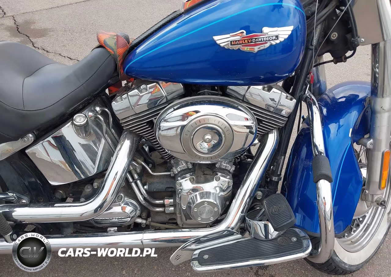 2009 Harley-Davidson Flstn VIN:1HD1JD5109Y052638 - 8