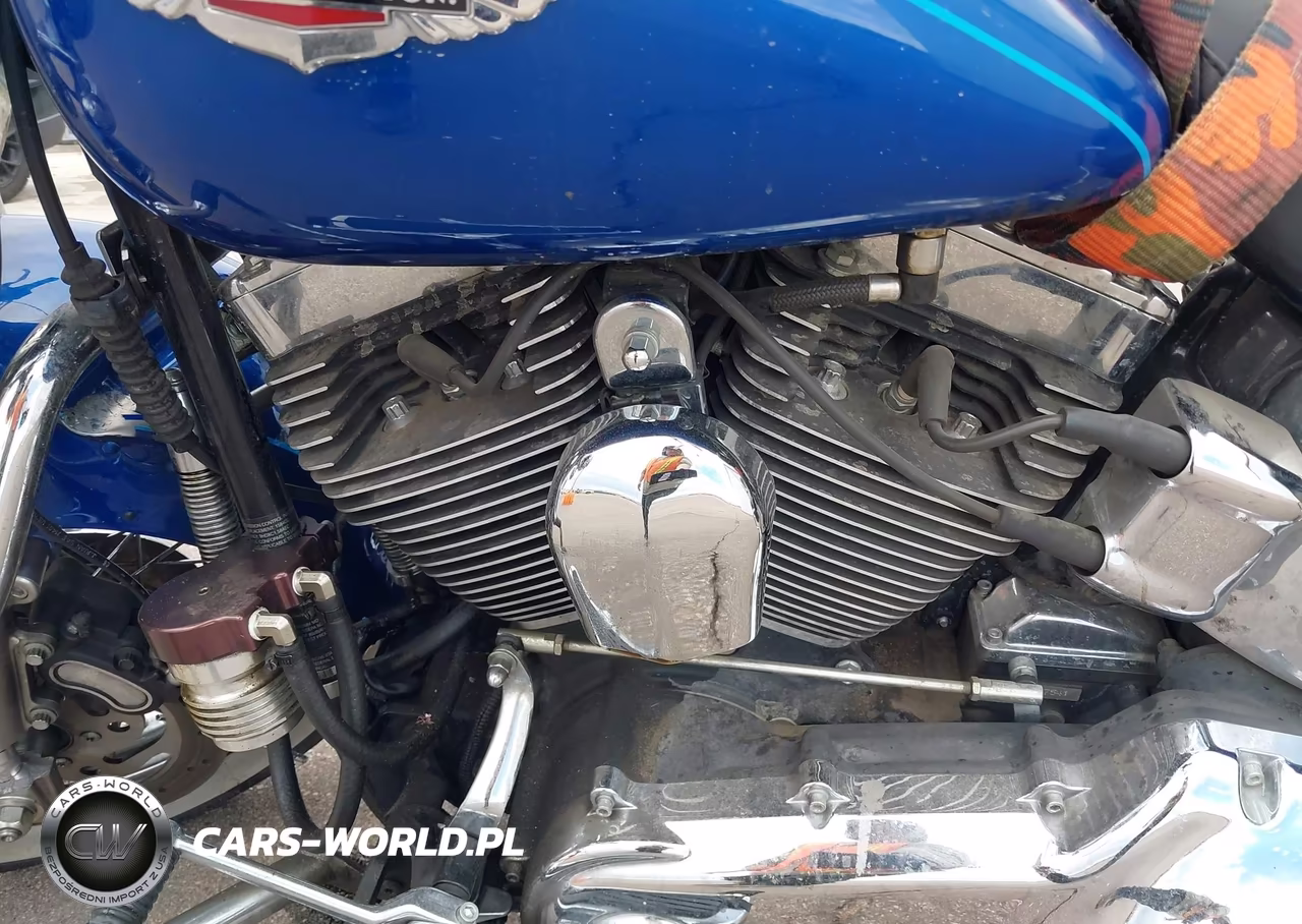 2009 Harley-Davidson Flstn VIN:1HD1JD5109Y052638 - 9