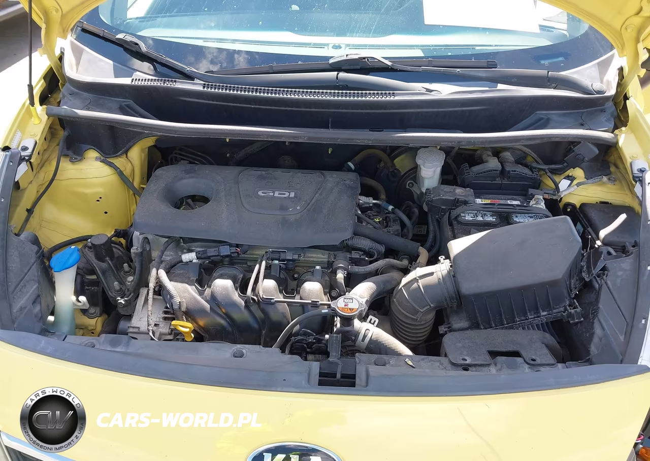 2016 Kia Rio Sx VIN:KNADN4A30G6668694 - 10