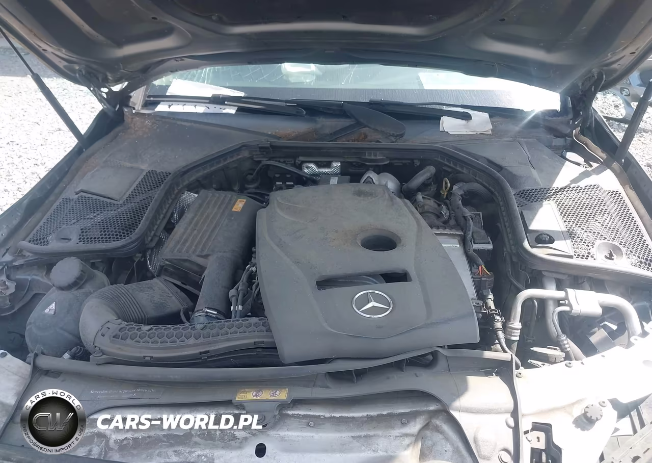 2017 Mercedes-Benz C 300 VIN:55SWF4JB9HU225805 - 10