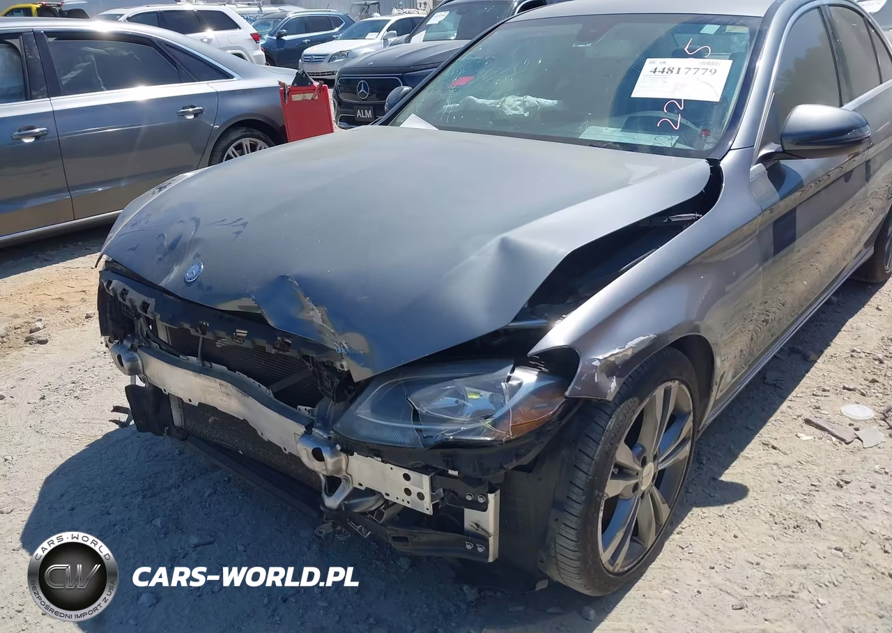 2017 Mercedes-Benz C 300 VIN:55SWF4JB9HU225805 - 17