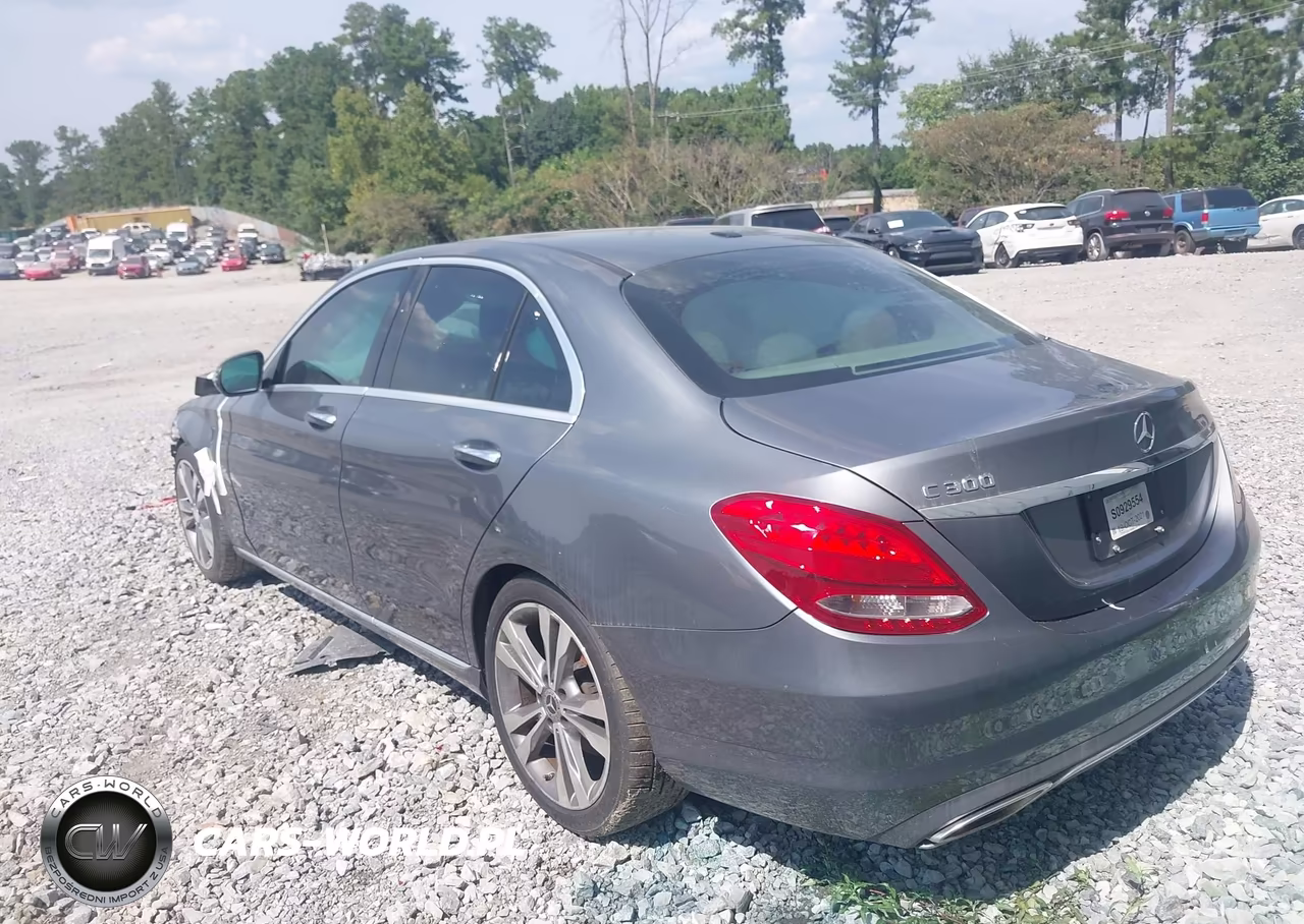 2017 Mercedes-Benz C 300 VIN:55SWF4JB9HU225805 - 3