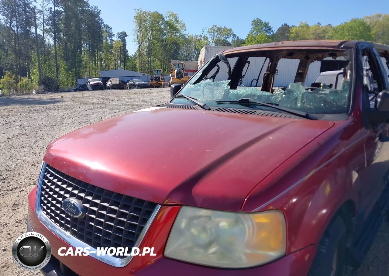 2006 Ford Expedition Xlt-Xlt Sport VIN:1FMPU15516LA07085 - 10
