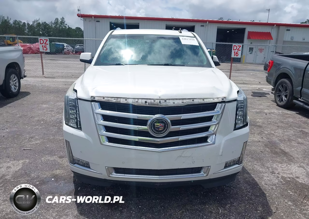 2015 Cadillac Escalade Esv Premium VIN:1GYS4JKJ1FR213482 - 13