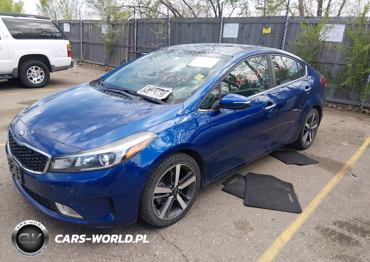 2018 Kia Forte Ex VIN:3KPFL4A81JE189831 - 2