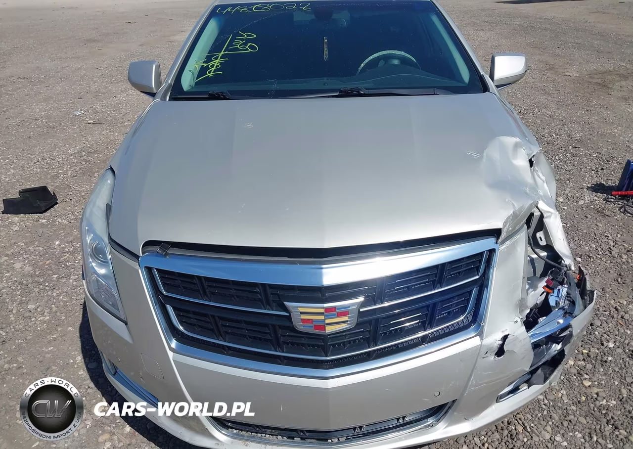 2016 Cadillac Xts Luxury Collection VIN:2G61M5S33G9162348 - 12
