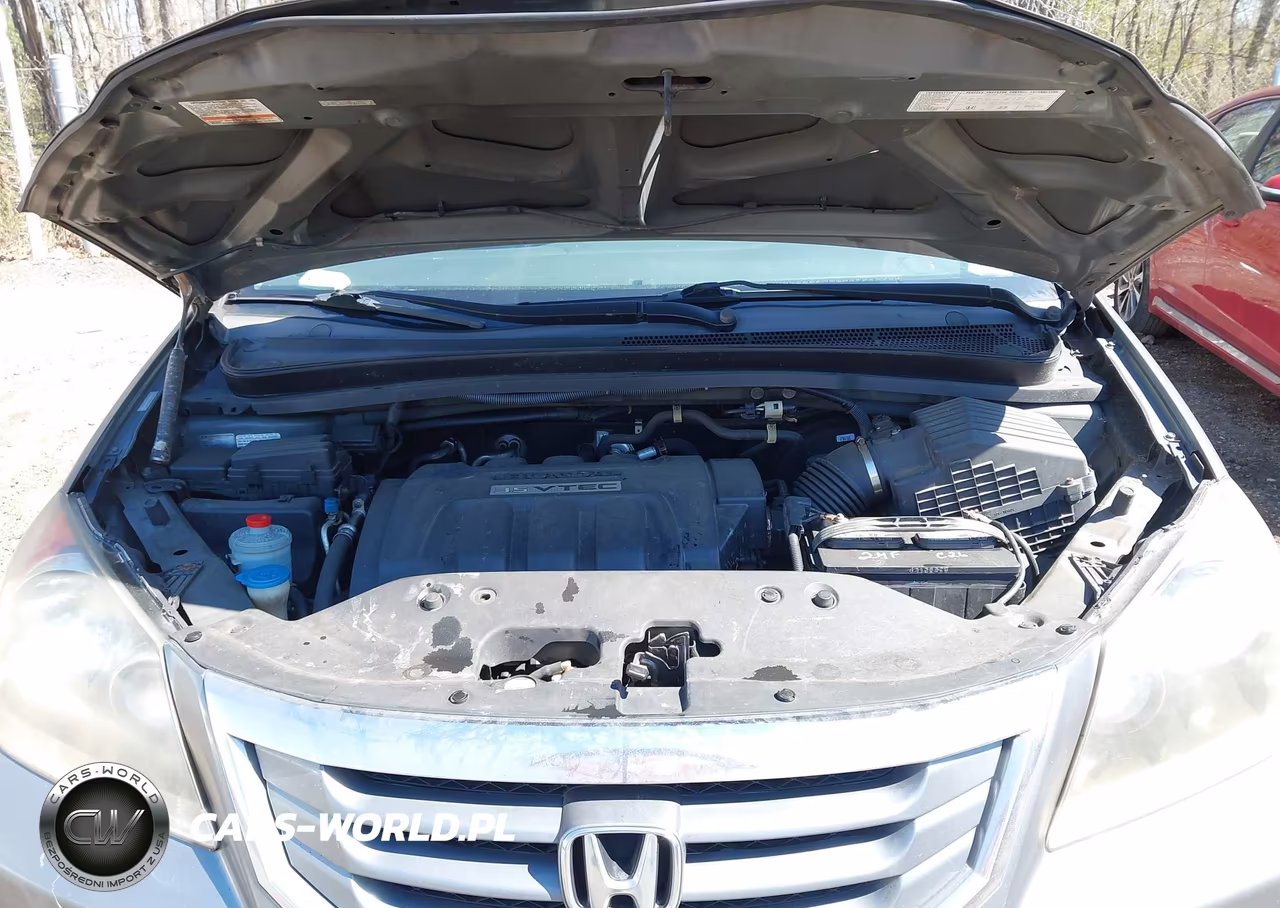 2009 Honda Odyssey Ex VIN:5FNRL38499B022956 - 10