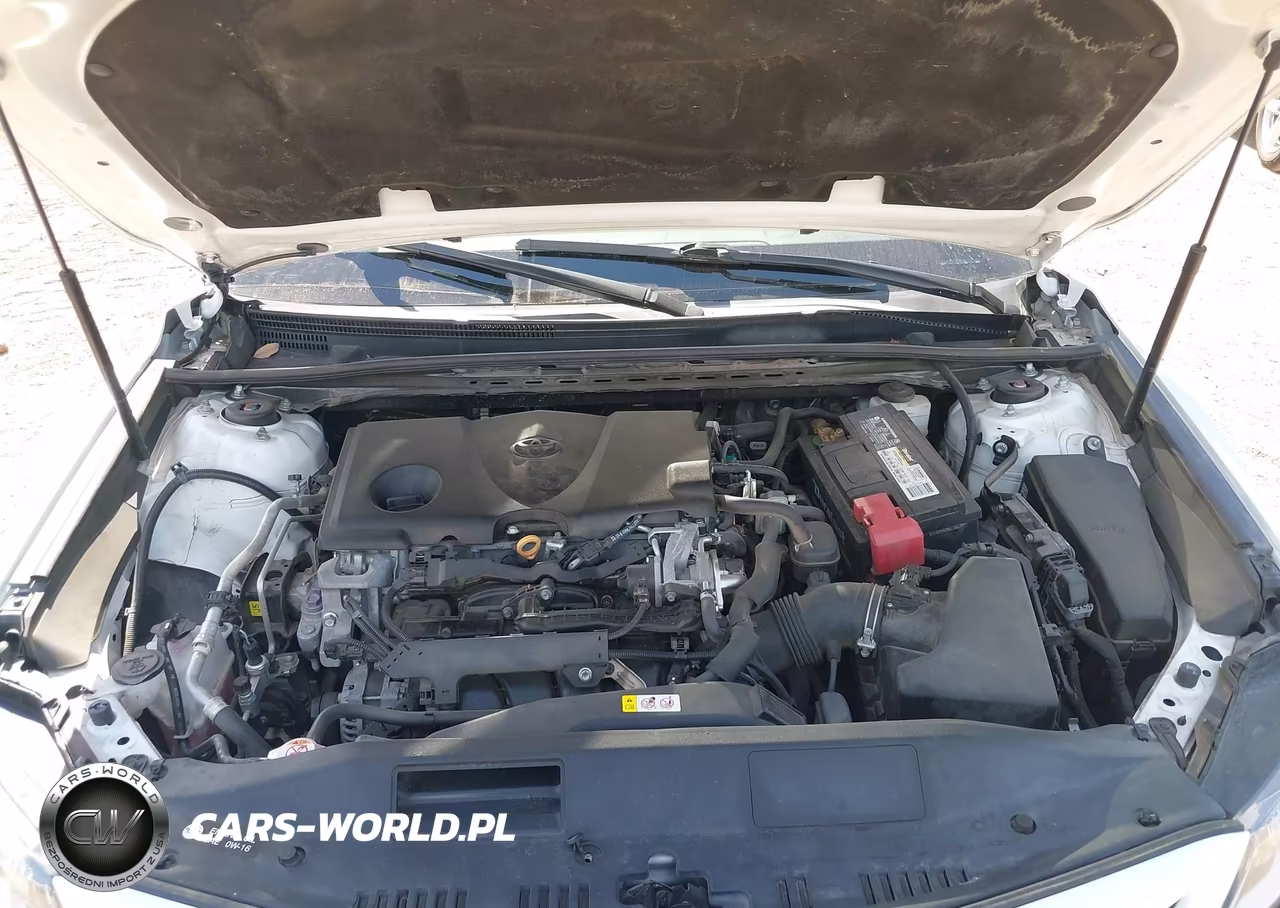 2019 Toyota Camry Se VIN:4T1B11HK0KU702733 - 10