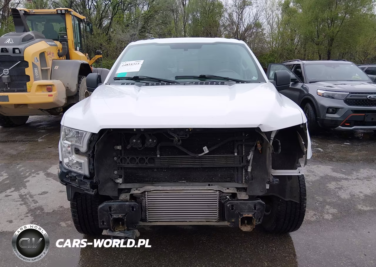 2015 Ford F-150 Xlt VIN:1FTFX1EG9FKD57899 - 13