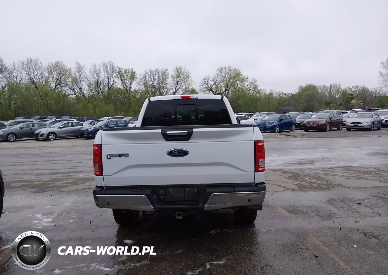 2015 Ford F-150 Xlt VIN:1FTFX1EG9FKD57899 - 17