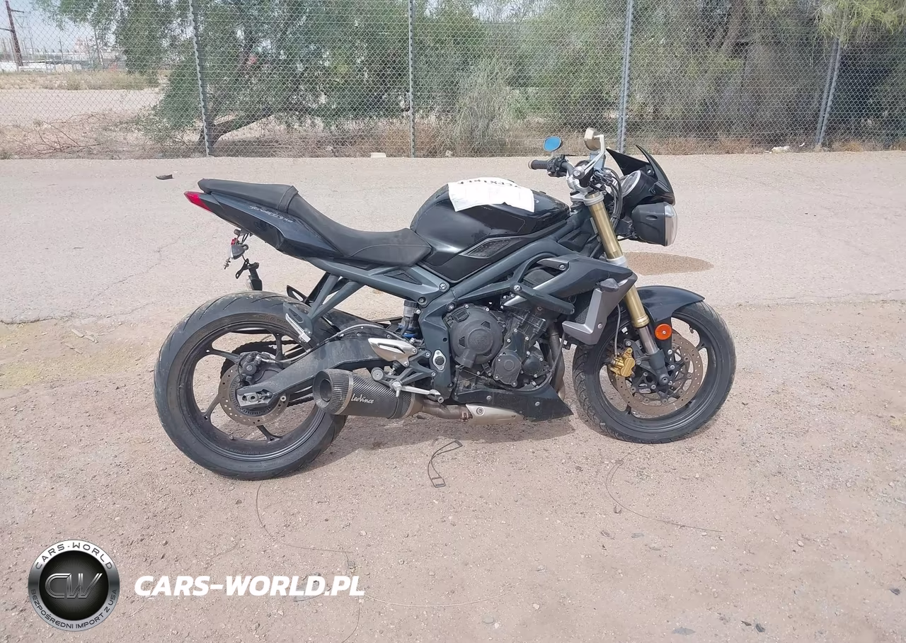 2013 Triumph Motorcycle Street Triple VIN:SMTL02NE9DT601913 - 11