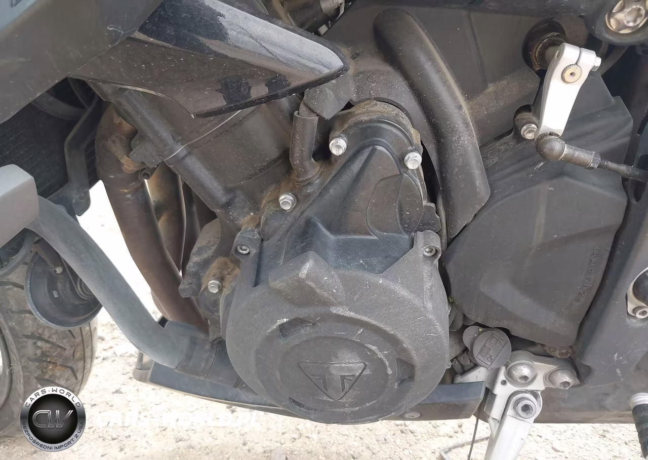 2013 Triumph Motorcycle Street Triple VIN:SMTL02NE9DT601913 - 9
