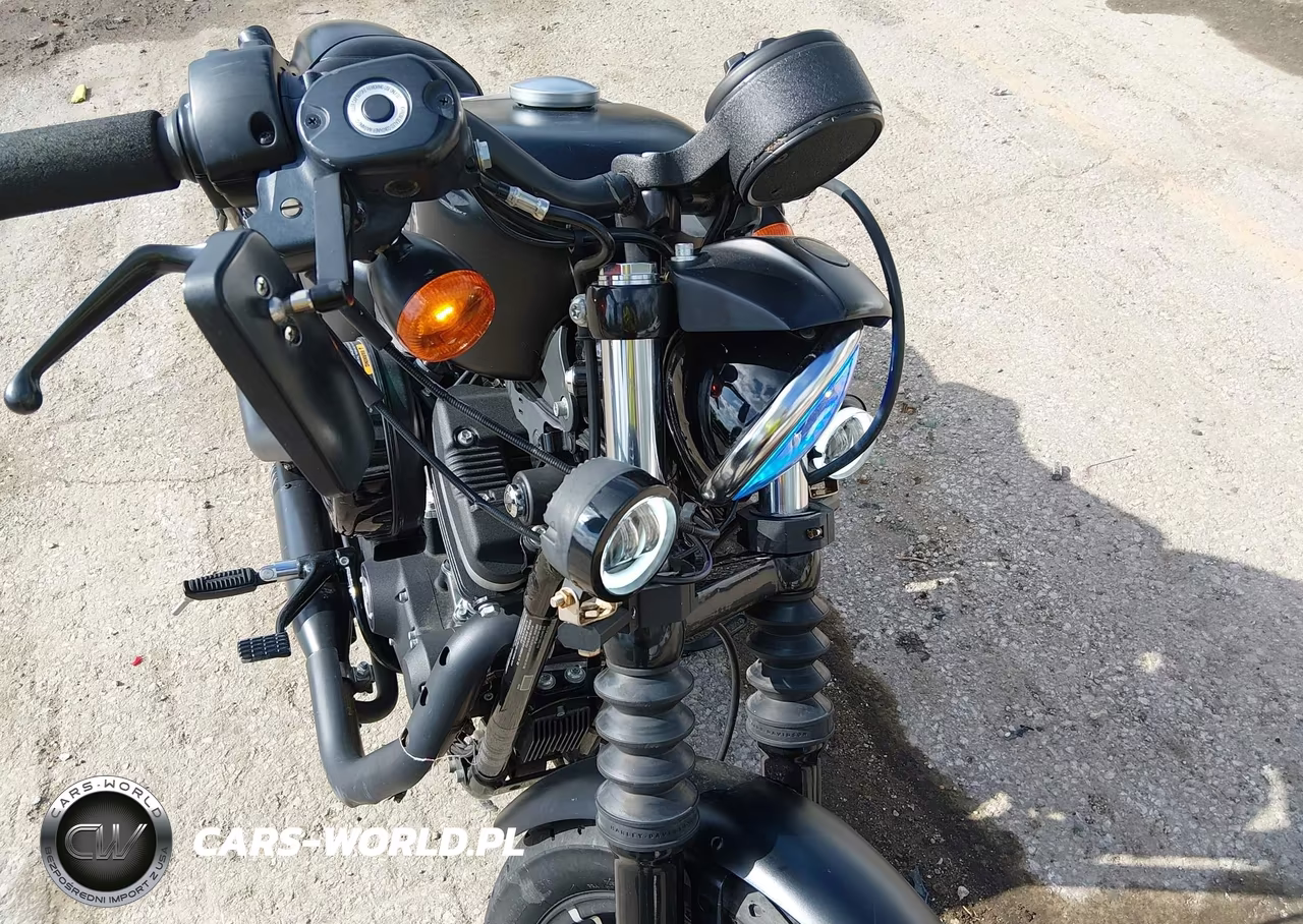 2021 Harley-Davidson Xl883 N VIN:1HD4LE213MB400882 - 14