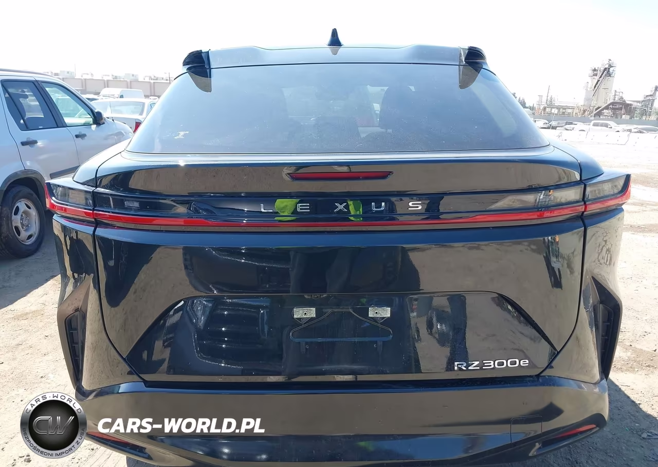 2024 Lexus Rz 300E Premium VIN:JTJABABB4RA003197 - 16