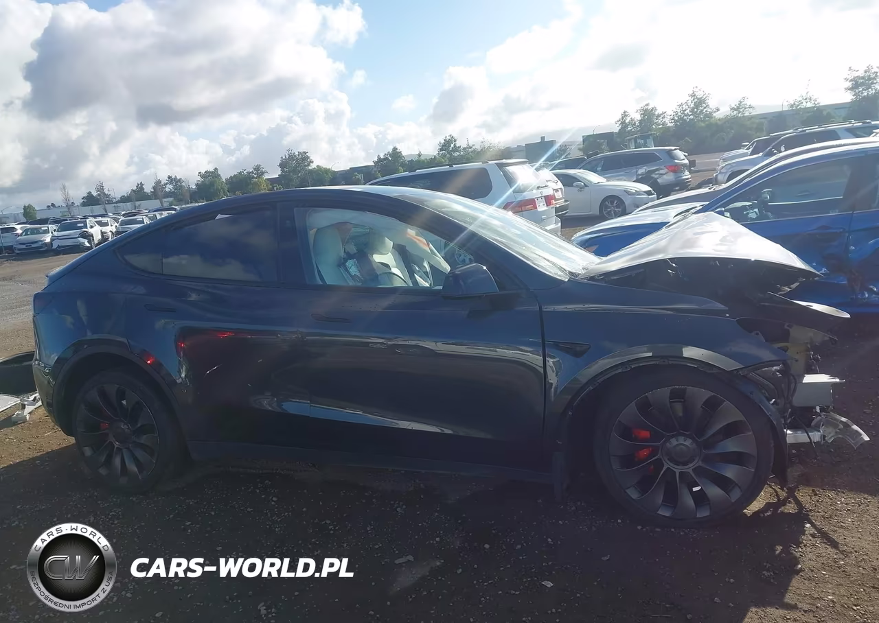 2024 Tesla Model Y Performance Dual Motor All-Wheel Drive VIN:7SAYGDEF9RF053655 - 13