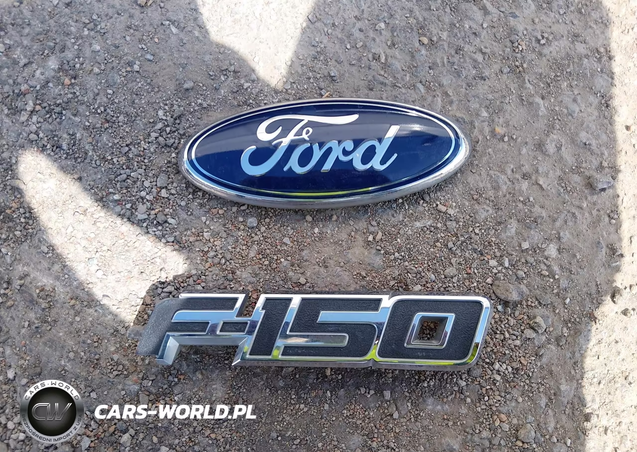 2010 Ford F-150 Fx4-Harley-Davidson-King Ranch-Lariat-Platinum-Xl-Xlt VIN:1FTFW1EV6AFC62073 - 12