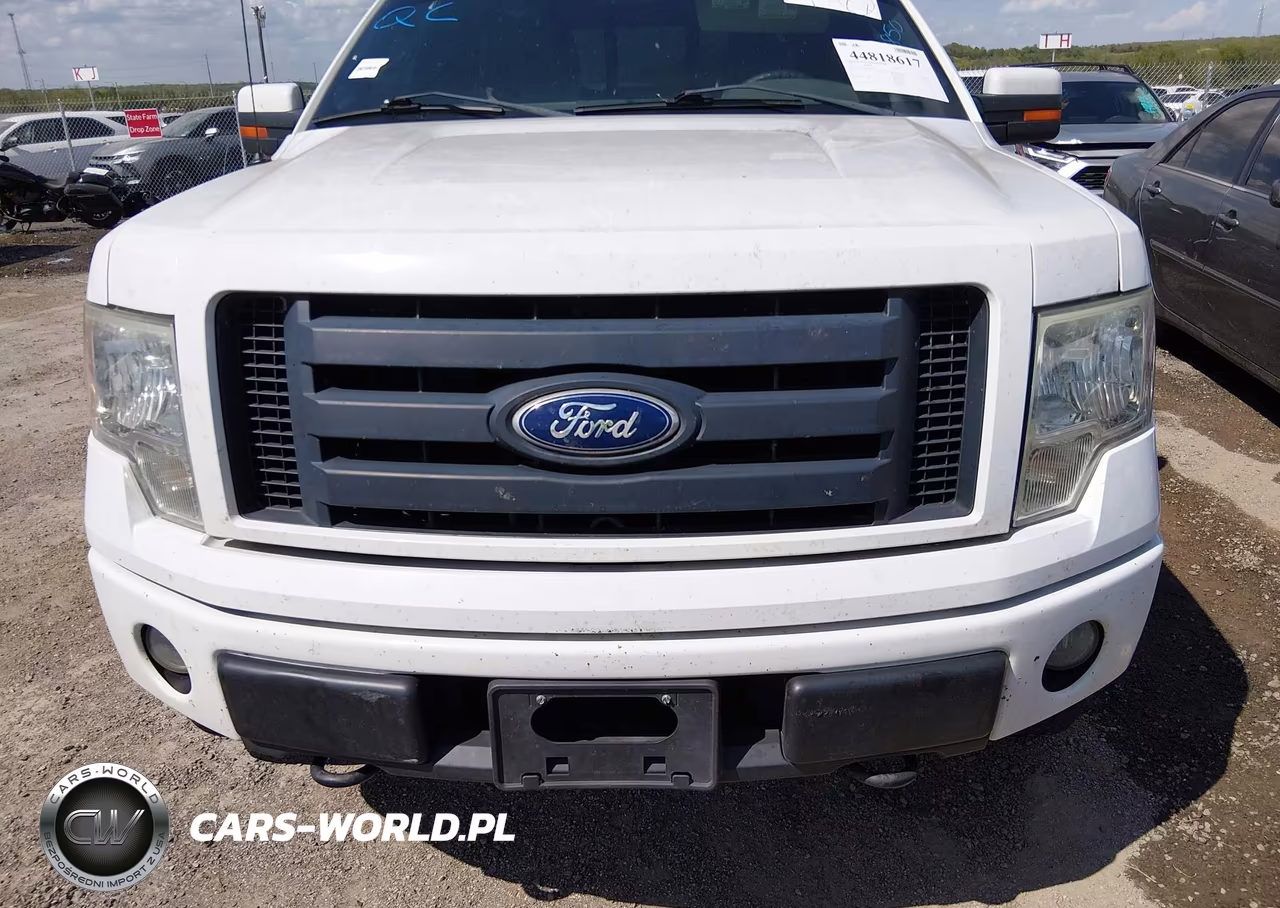 2010 Ford F-150 Fx4-Harley-Davidson-King Ranch-Lariat-Platinum-Xl-Xlt VIN:1FTFW1EV6AFC62073 - 13
