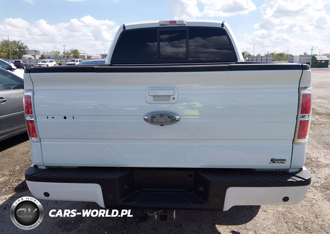 2010 Ford F-150 Fx4-Harley-Davidson-King Ranch-Lariat-Platinum-Xl-Xlt VIN:1FTFW1EV6AFC62073 - 17