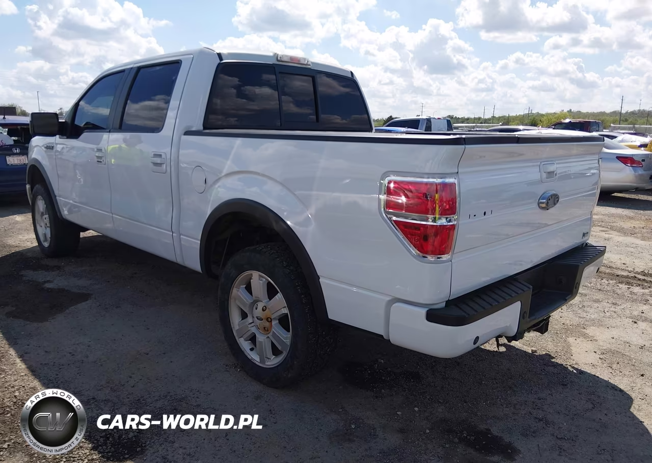 2010 Ford F-150 Fx4-Harley-Davidson-King Ranch-Lariat-Platinum-Xl-Xlt VIN:1FTFW1EV6AFC62073 - 3