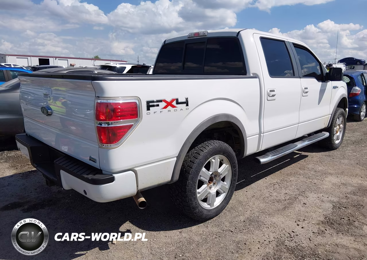 2010 Ford F-150 Fx4-Harley-Davidson-King Ranch-Lariat-Platinum-Xl-Xlt VIN:1FTFW1EV6AFC62073 - 4